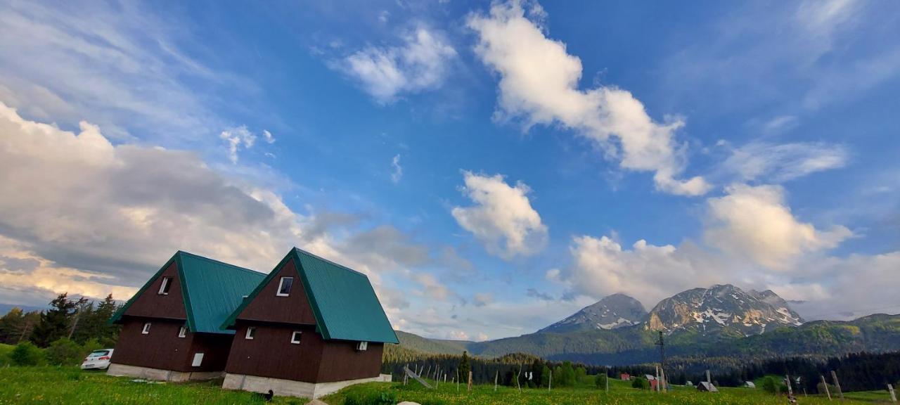 Durmitorske * Zabljak (Zabljak)