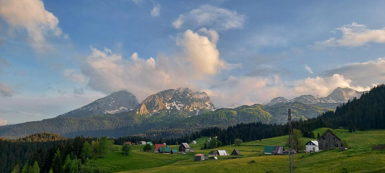 Durmitorske * Zabljak (Zabljak)